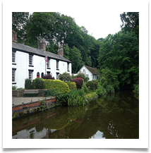 Summer at Lymm dam - Barbara Johnson
